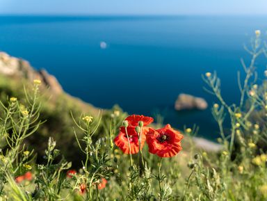 Бахчисарай + Балаклава — поездка из Севастополя