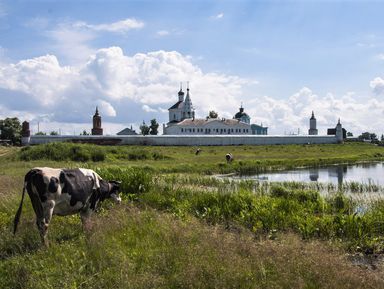 Фото 3 - Экскурсия: "Коломна и Зарайск — две древние крепости" Фото 3 - Экскурсия: "Коломна и Зарайск — две древние крепости"