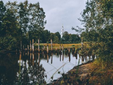 Фото - Экскурсия: "Северное кольцо Мещеры с краеведом" Фото - Экскурсия: "Северное кольцо Мещеры с краеведом"