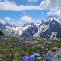 Фото отзыва 1: экскурсия "Весь Кавказ за 4 дня: Архыз, Домбай, Эльбрус и Чегемское ущелье" Фото отзыва 1: экскурсия "Весь Кавказ за 4 дня: Архыз, Домбай, Эльбрус и Чегемское ущелье"