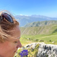 Фото отзыва 4: экскурсия "Этот головокружительный Кавказ: Северная Осетия и Ингушетия" Фото отзыва 4: экскурсия "Этот головокружительный Кавказ: Северная Осетия и Ингушетия"