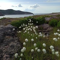 Фото отзыва 2: экскурсия "От Белого моря до Баренцева"