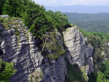 Фото 3 - Экскурсия: "Два в одном: Агурское ущелье и Орлиные скалы" Фото 3 - Экскурсия: "Два в одном: Агурское ущелье и Орлиные скалы"