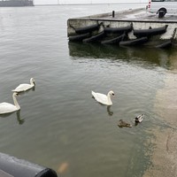 Фото отзыва 2: экскурсия "Мозаика прибрежных городов" Фото отзыва 2: экскурсия "Мозаика прибрежных городов"