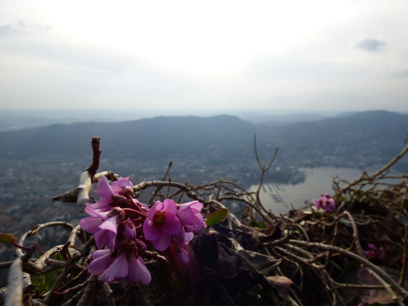 Неизведанный Комо (8/8)