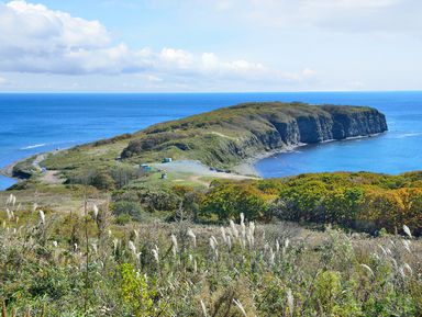 Лучшие панорамы Владивостока, остров Русский и морские бухты за 1 день