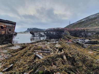 Фото - Экскурсия: "Териберка — в копилку лучших дней" Фото - Экскурсия: "Териберка — в копилку лучших дней"