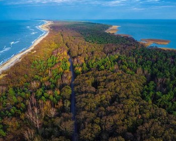 Фото 4 авторского тура - день 3 "Куршская коса и Зеленоградск" Фото 4 авторского тура - день 3 "Куршская коса и Зеленоградск"