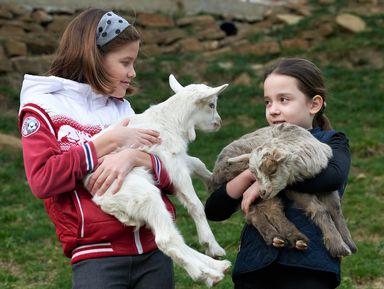 Фото 3 - Экскурсия: "Сочи для детей и родителей!" Фото 3 - Экскурсия: "Сочи для детей и родителей!"