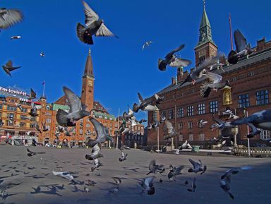 Фото 3 - Экскурсия: "Подружиться с Копенгагеном" Фото 3 - Экскурсия: "Подружиться с Копенгагеном"