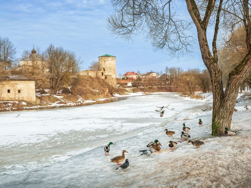 По следам царской семьи в Пскове (10/10)
