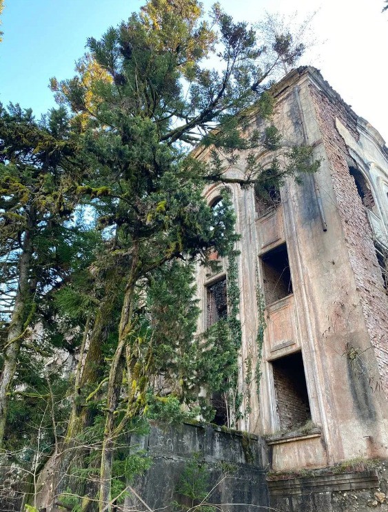 Фото авторского тура 6 "Абхазский джиппинг: горы, озера, заброшки и душевные застолья" Фото авторского тура 6 "Абхазский джиппинг: горы, озера, заброшки и душевные застолья"