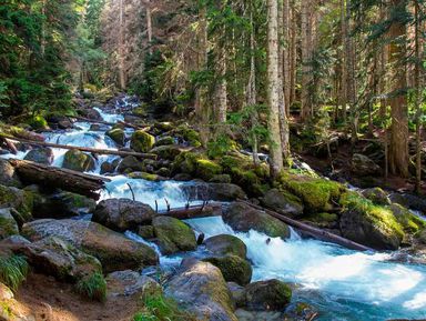 Фото 2 - Экскурсия: "Домбай — душа Кавказских гор" Фото 2 - Экскурсия: "Домбай — душа Кавказских гор"