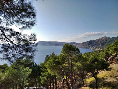 Фото - Экскурсия: "Севастополь: прогулка по Балаклавской дуге" Фото - Экскурсия: "Севастополь: прогулка по Балаклавской дуге"