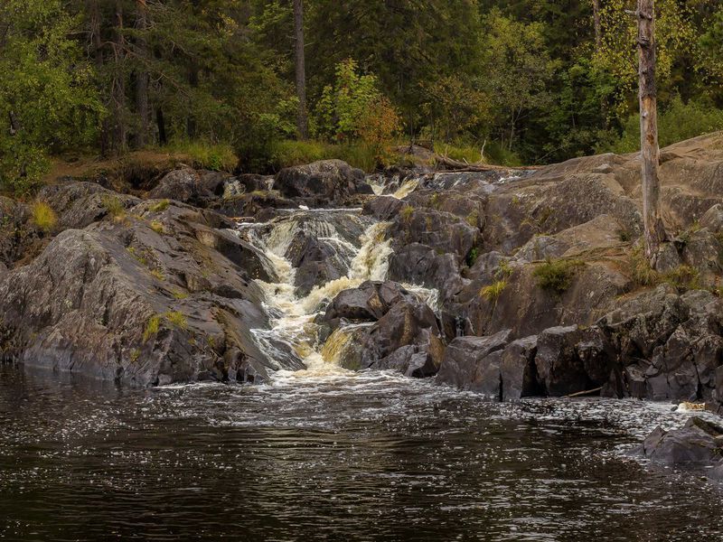 В Карелию: групповая экскурсия из Петербурга (13/16)