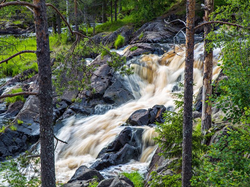 В Карелию: групповая экскурсия из Петербурга (8/16)