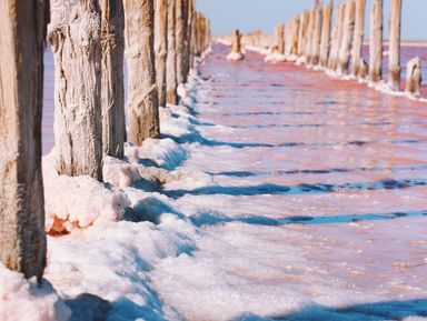 Фото - Экскурсия: "50 оттенков розового: фото-тур на озеро Сасык-Сиваш" Фото - Экскурсия: "50 оттенков розового: фото-тур на озеро Сасык-Сиваш"