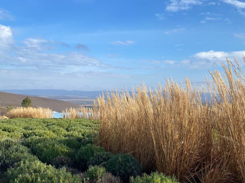 Кипарисовое озеро и винодельни в окрестностях Анапы (6/12)