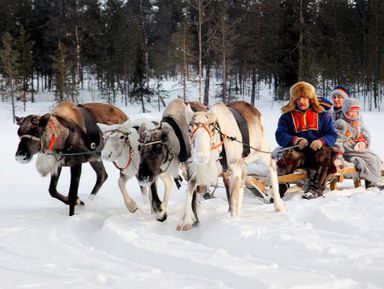 Фото - Экскурсия: "Деревня саамов, или Север изнутри" Фото - Экскурсия: "Деревня саамов, или Север изнутри"